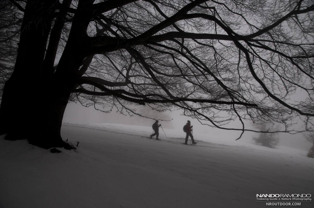 L’INVERNO VERO
