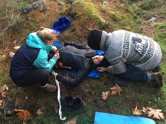 Primo soccorso BLS-D che cosa è…